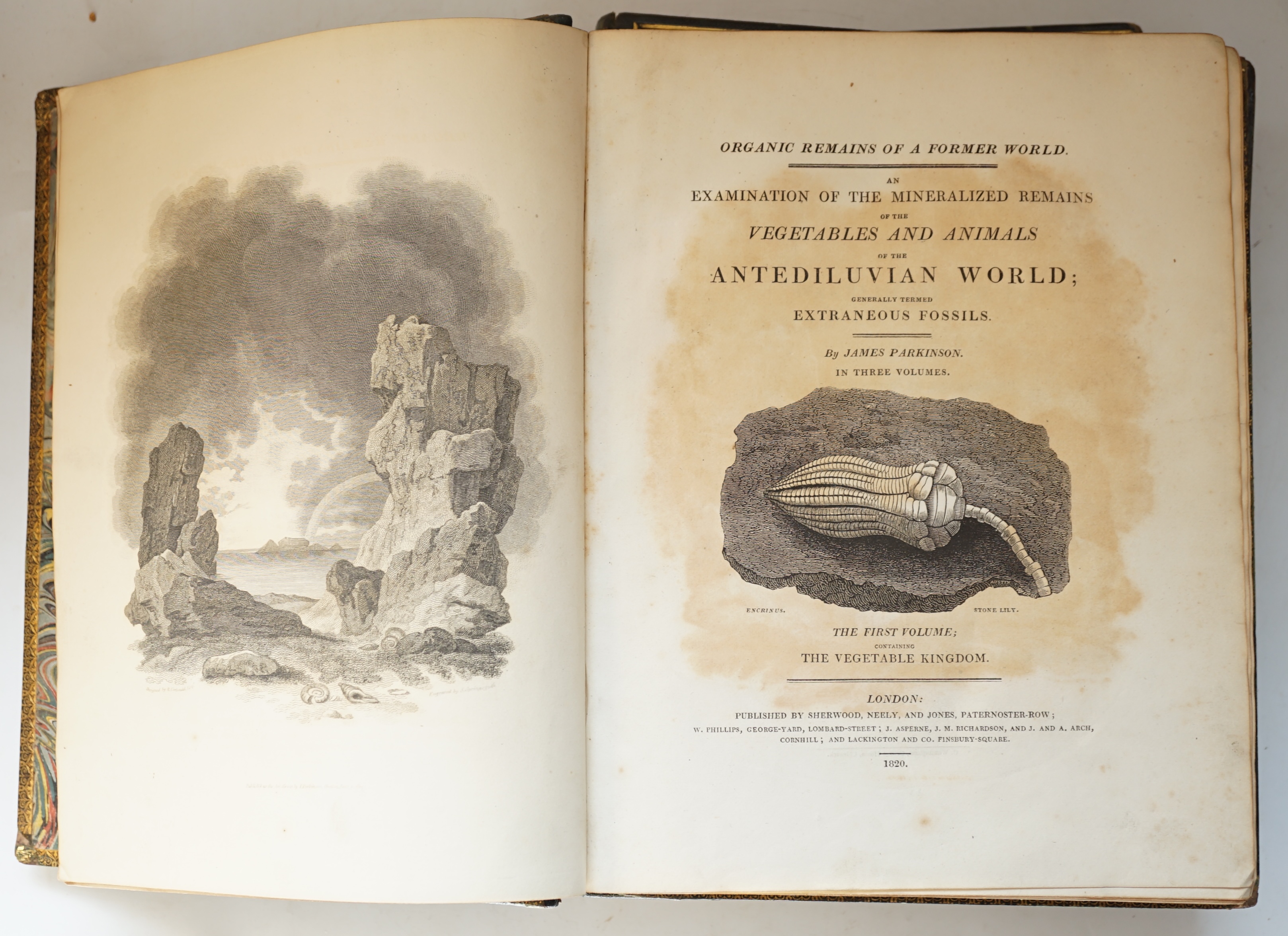 Parkinson, James - Organic Remains of a Former World. An Examination of the Mineralized Remains of Vegetables and Animals of the Antediluvian World; Generally Termed Extraneous Fossils, 3 vols, each with engraved frontis